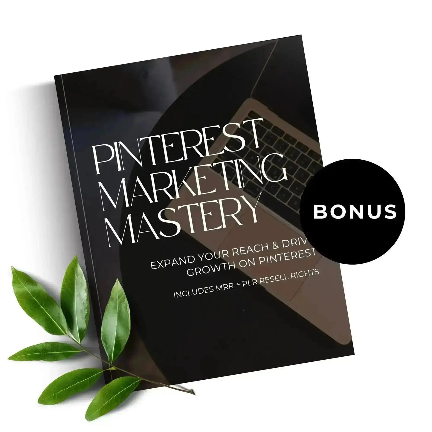 Life & Mindset Reels & Captions – 80 Done-for-You Instagram Posts with MRR + PLR Boundless PLR