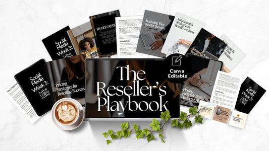 The Reseller’s Playbook – MRR & PLR Digital Product Bundle - Master Resell Rights - Boundless PLR
